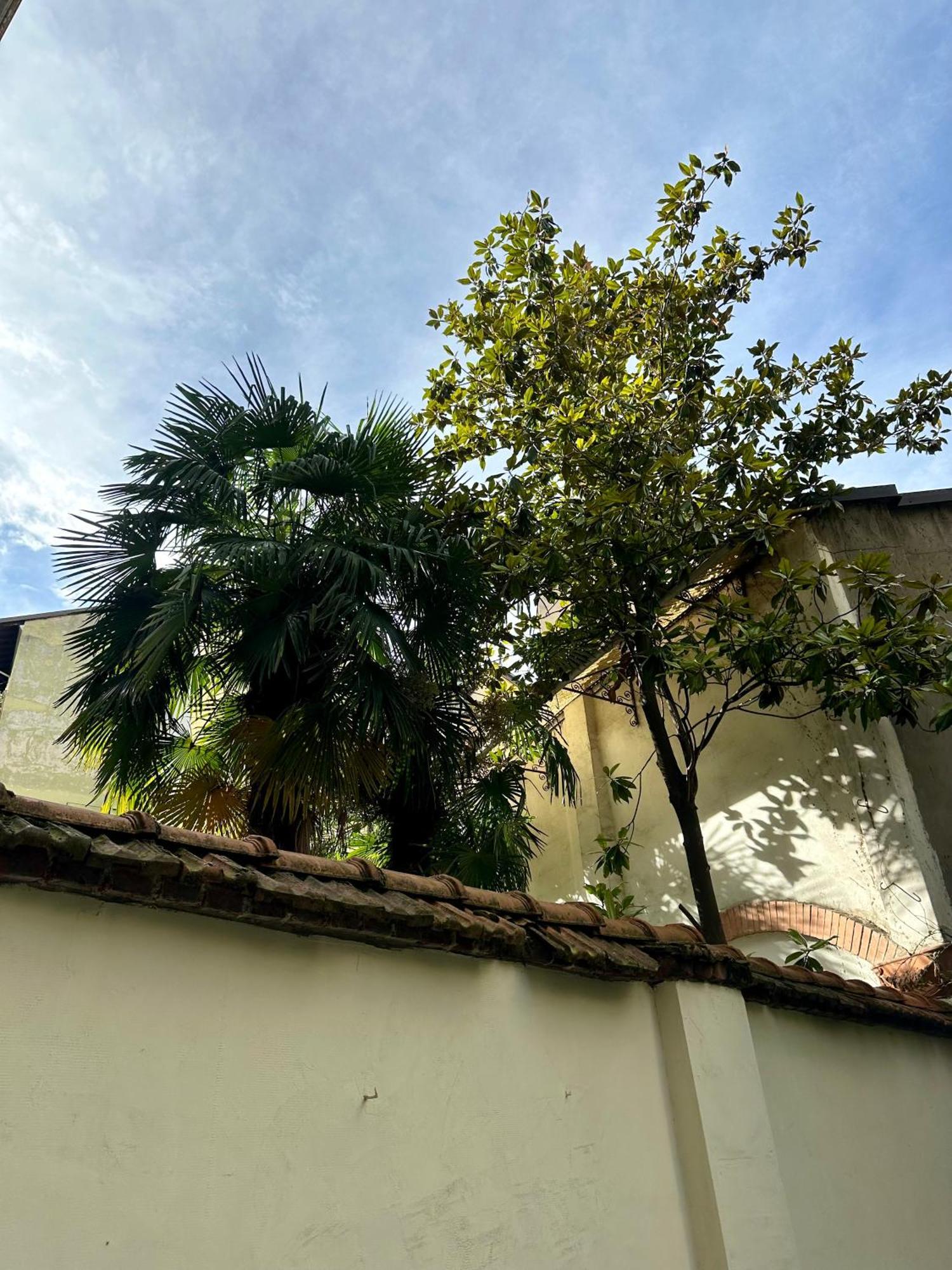 Lr Deluxe Apartments - Porta Venezia - Bilocale Con Giardino Privato Milano Exterior foto